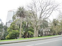 P1000613