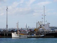 P1000696