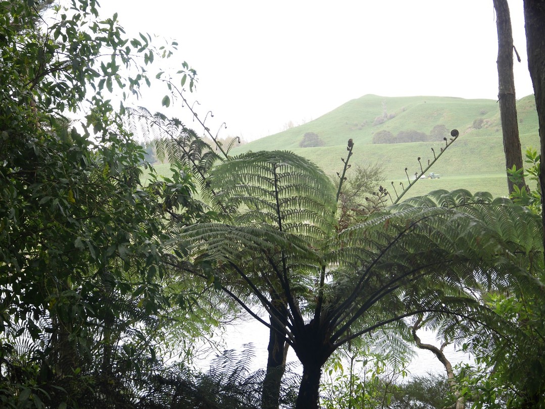 P1000905