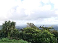 P1000915