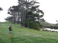 P1010196
