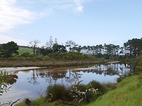 P1010210
