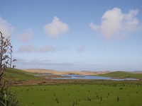 P1010225