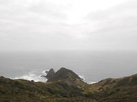 P1010244