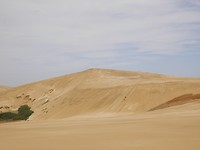 P1010298