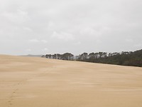 P1010304