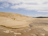 P1010307