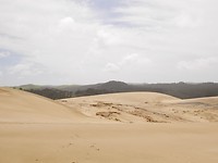 P1010316