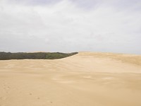 P1010323