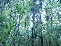 P1010405