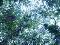 P1010409