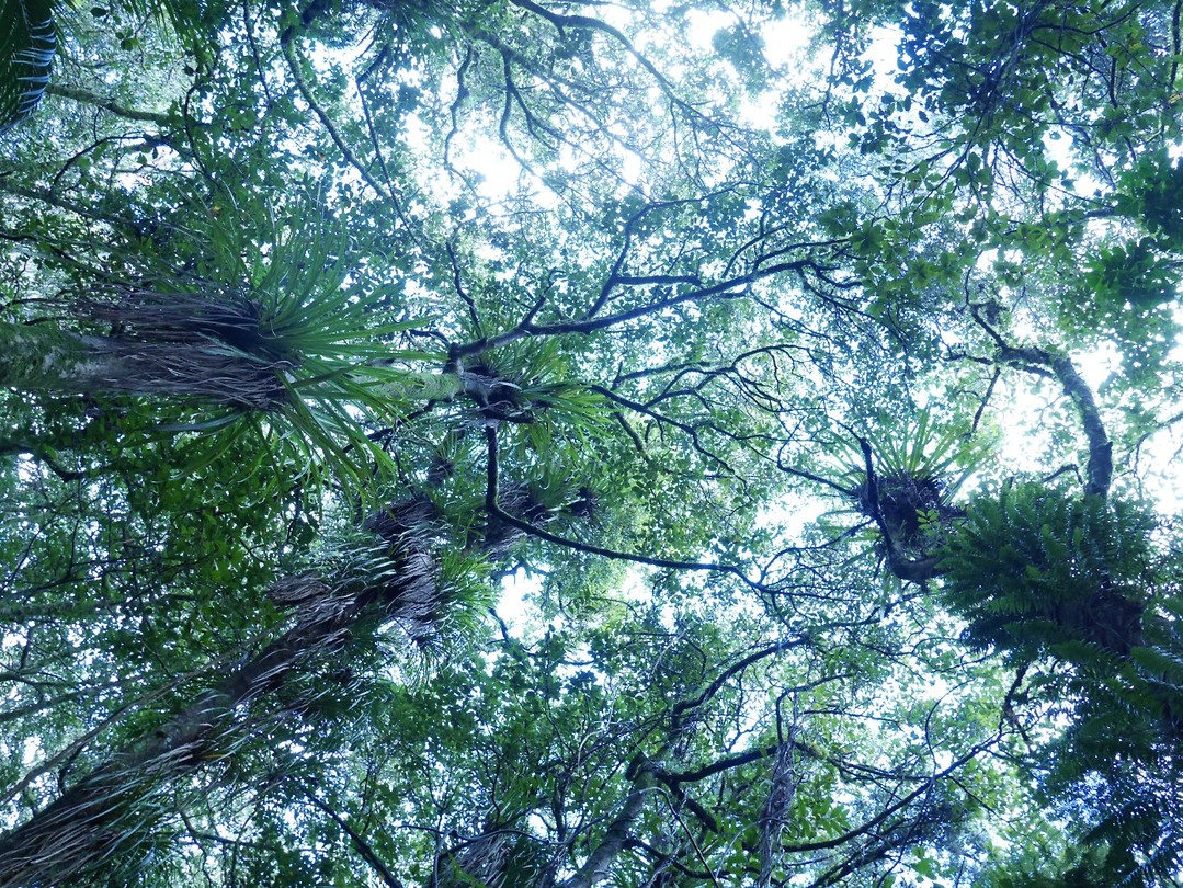 P1010409