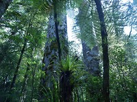 P1010434