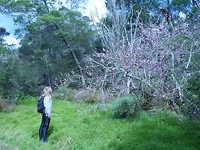 P1010473