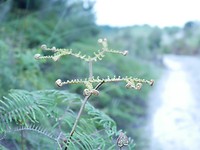 P1010501