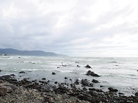 P1010558