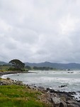 P1010559