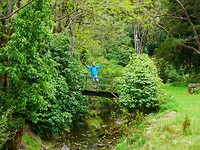 P1010876