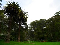 P1010905