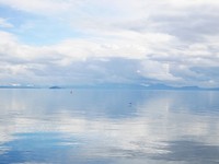 P1020286