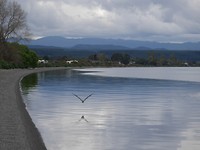 P1020323