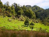 P1020508
