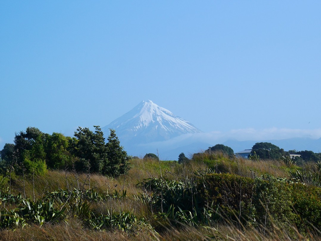 P1020568