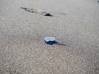 P1020607