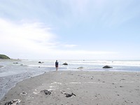 P1030036