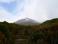 P1030234