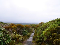 P1030238