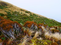 P1030319
