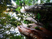 P1030328
