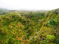 P1030339