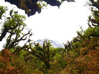 P1030341