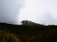 P1030342