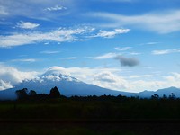 P1030357
