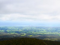 P1030428