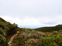 P1030445