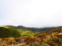 P1030454