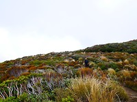 P1030472