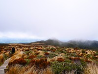 P1030500