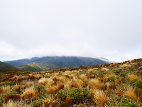P1030507