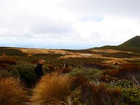 P1030508