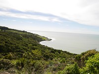P1030939