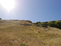 P1050087