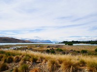 P1050391
