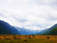 P1050937