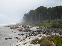 P1070440