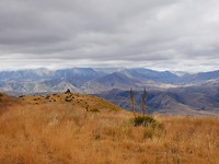 P1070571